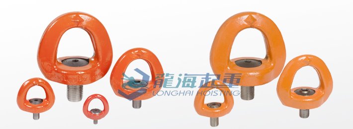 盧森堡SEB型旋轉(zhuǎn)吊環(huán) 盧森堡SEB型旋轉(zhuǎn)吊環(huán)