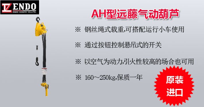 AH型遠(yuǎn)藤氣動(dòng)葫蘆圖片 AH型遠(yuǎn)藤氣動(dòng)葫蘆圖片