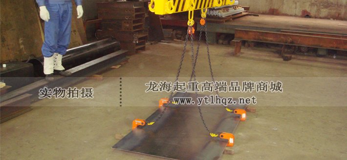VAF型鷹牌水平橫吊具使用案例圖片 VAF型鷹牌水平橫吊具使用案例圖片