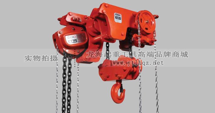 DLHG型低凈空手拉葫蘆示意圖 DLHG型低凈空手拉葫蘆示意圖