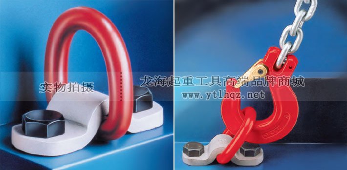 TAPG型德國JDT吊環(huán)應用案例 TAPG型德國JDT吊環(huán)應用案例