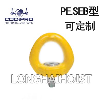 PE.SEB型盧森堡螺栓旋轉吊環(huán) PE.SEB型盧森堡螺栓旋轉吊環(huán)