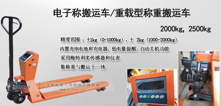 電子稱搬運(yùn)車圖片 電子稱搬運(yùn)車圖片