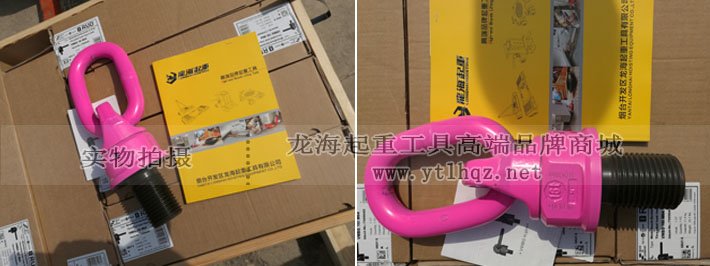 VWBG型RUD吊環(huán)圖片 VWBG型RUD吊環(huán)圖片