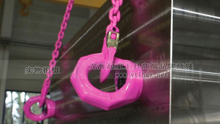 VRM型路德旋轉(zhuǎn)吊環(huán)案例圖 VRM型路德旋轉(zhuǎn)吊環(huán)案例圖