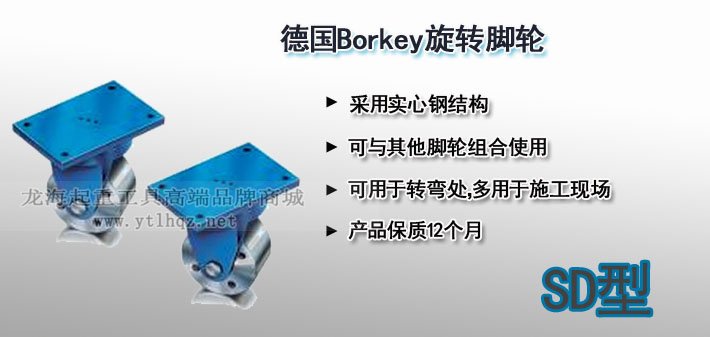 SD型Borkey旋轉(zhuǎn)腳輪圖片 SD型Borkey旋轉(zhuǎn)腳輪圖片