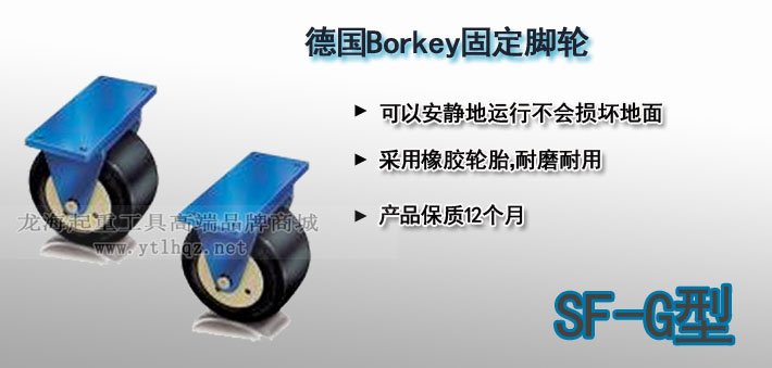 SF-G型Borkey固定腳輪圖片 SF-G型Borkey固定腳輪圖片