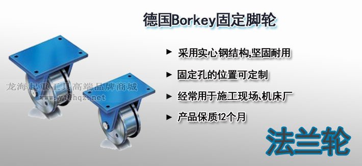 德國Borkey固定腳輪圖片 德國Borkey固定腳輪圖片
