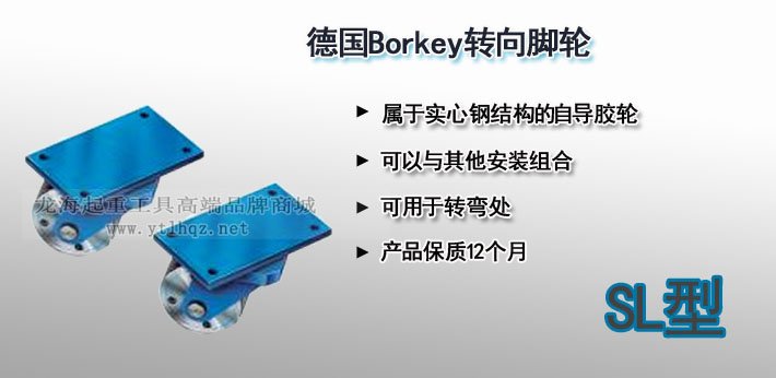 SL型Borkey轉(zhuǎn)向腳輪圖片 SL型Borkey轉(zhuǎn)向腳輪圖片