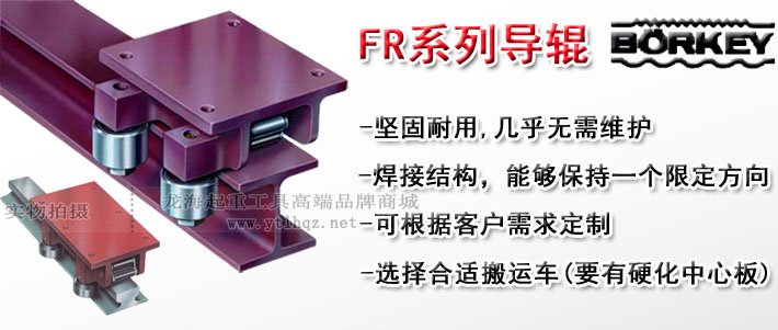 德國Borkey FR導輥 德國Borkey FR導輥