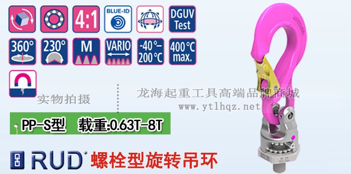 PP-S型路德萬(wàn)向旋轉(zhuǎn)吊環(huán)圖片 PP-S型路德萬(wàn)向旋轉(zhuǎn)吊環(huán)圖片