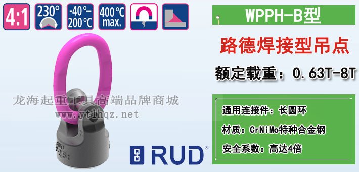 WPPH-B路德焊接型吊環(huán)圖片 WPPH-B路德焊接型吊環(huán)圖片