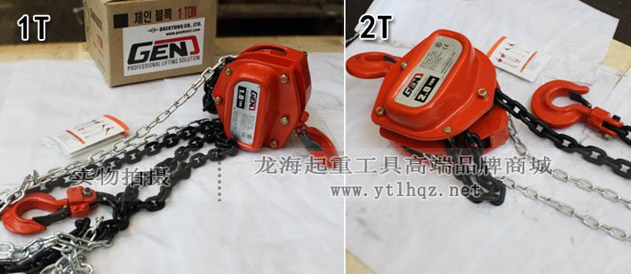 GEN DH環(huán)鏈?zhǔn)掷J1噸/2噸 GEN DH環(huán)鏈?zhǔn)掷J1噸/2噸