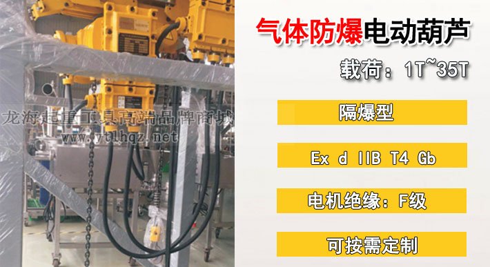 氣體防爆環(huán)鏈電動(dòng)葫蘆 氣體防爆環(huán)鏈電動(dòng)葫蘆