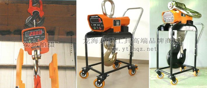 鷹牌OCS型電子吊秤圖片 鷹牌OCS型電子吊秤圖片