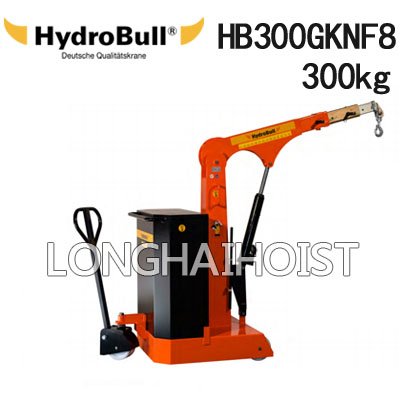 HB300GKNF8小型配重起重機(jī)