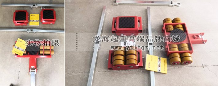 28噸德國JUNG組合式搬運(yùn)小坦克圖片