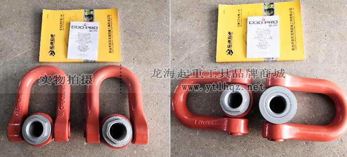 盧森堡FE.DSS雙旋轉(zhuǎn)吊環(huán)使實物圖 盧森堡FE.DSS雙旋轉(zhuǎn)吊環(huán)使實物圖