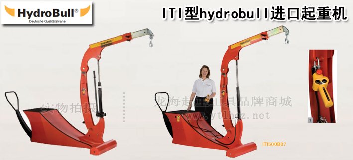 ITI型hydrobull進(jìn)口起重機(jī) ITI型hydrobull進(jìn)口起重機(jī)