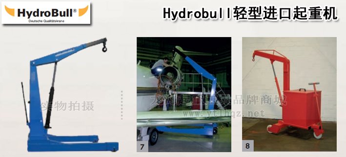 Hydrobull輕型進(jìn)口起重機(jī) Hydrobull輕型進(jìn)口起重機(jī)