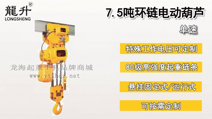 7.5噸環(huán)鏈電動葫蘆圖片 7.5噸環(huán)鏈電動葫蘆圖片