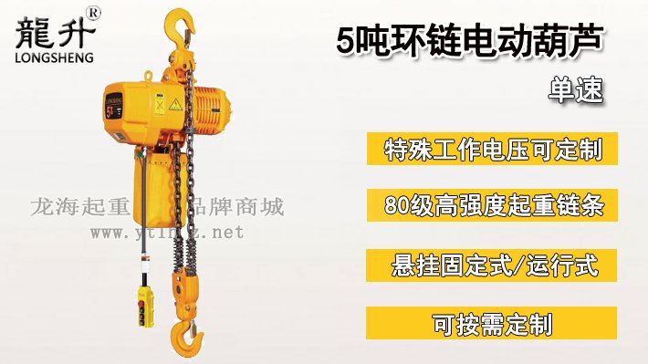 5噸環(huán)鏈電動(dòng)葫蘆圖片 5噸環(huán)鏈電動(dòng)葫蘆圖片