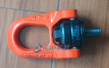 DSR型萬向旋轉(zhuǎn)吊環(huán)實物圖一 DSR型萬向旋轉(zhuǎn)吊環(huán)實物圖一