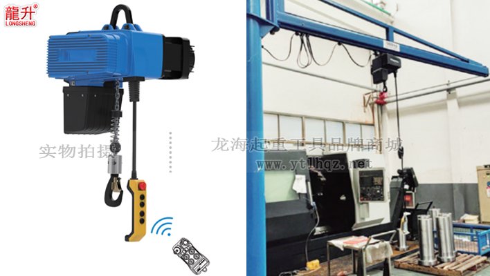 D2變頻環(huán)鏈電動葫蘆案例圖 D2變頻環(huán)鏈電動葫蘆案例圖